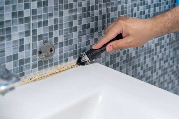 Best Local Mold Removal Service  in St Paul Park, MN